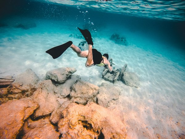 Chasse sous-marine: le guide pratique pour débutants