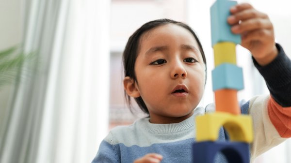 Tout savoir sur le tour d'observation montessori made in france