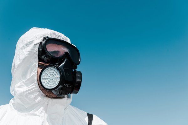 Stratégies efficaces pour se débarrasser des punaises de lit
