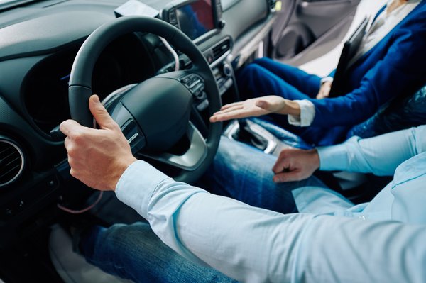Pare-soleil anti-uv : confort et style pour votre tesla model y